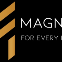 Best Magnetic Separator Manufacturers - Magna Tronix